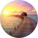 Amy Wong profile picture